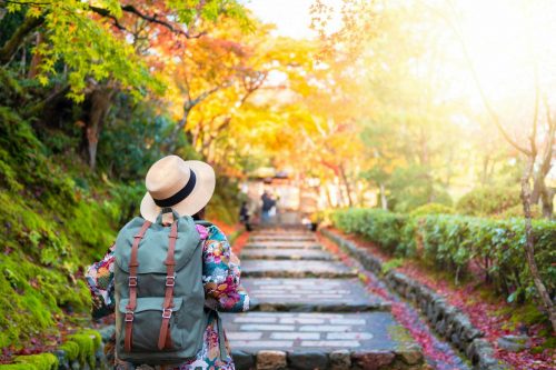 Tourist,Is,Traveling,And,Sightseeing,In,The,Park,During,Autumn