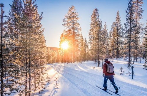 Panoramic,View,Of,Man,Cross Country,Skiing,On,A,Track,In