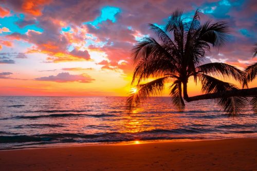 Silhouette,Of,Palm,Trees,Beautiful,Sunset,On,The,Tropical,Sea