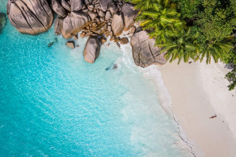 Tropical,Beach,With,Sea,And,Palm,Taken,From,Drone.,Seychelles