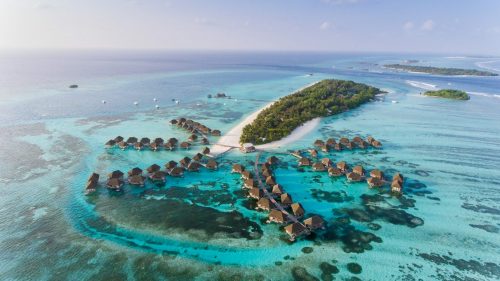 Amazing,Bird,Eyes,View,In,Maldives